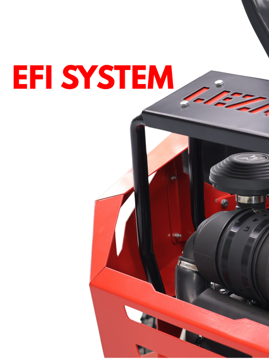 LEZARD EFI SYSTEM