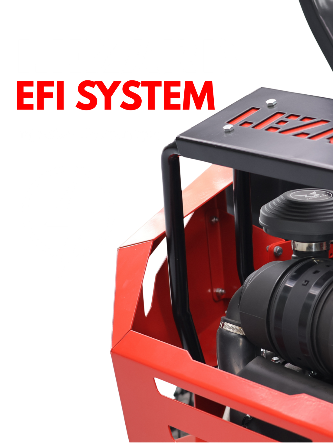 LEZARD EFI SYSTEM